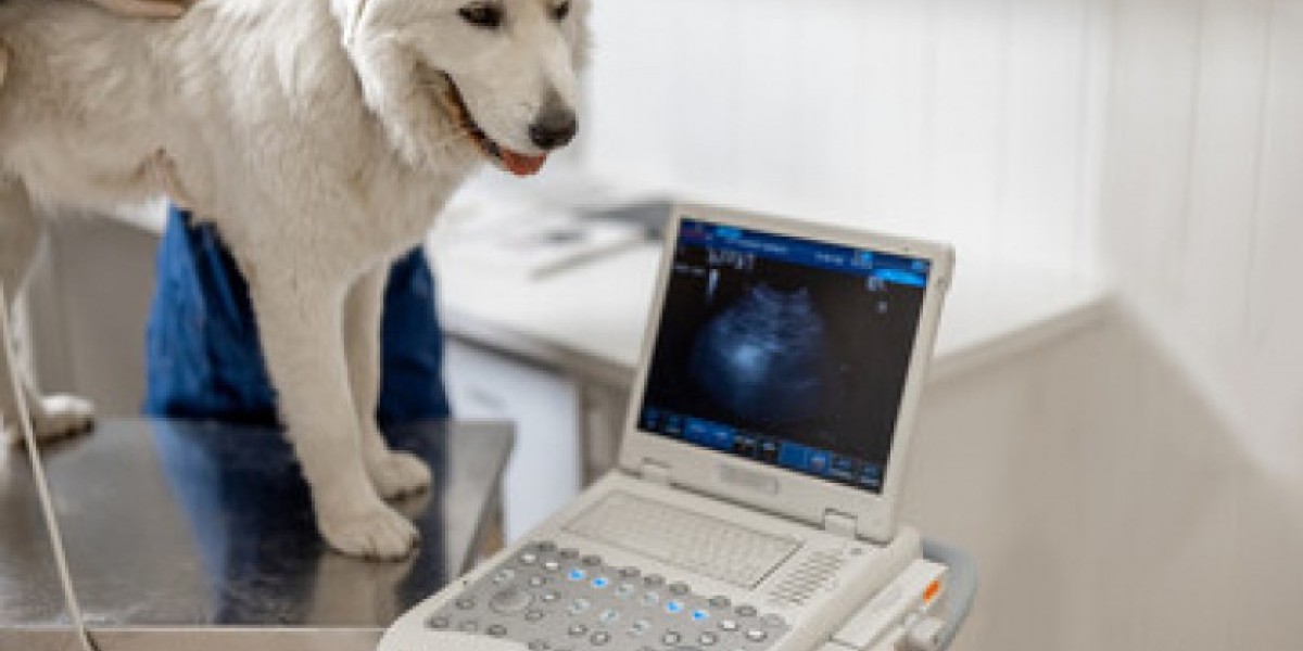 Descubra tudo sobre o exame de coproparasitológico em cães: importância, procedimento e resultados!