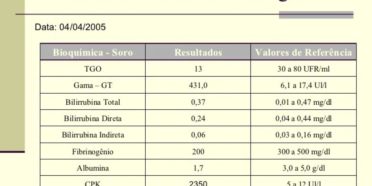 Entendendo os Custos do Raio X Veterinário: Quanto Vale a Saúde do Seu Pet?