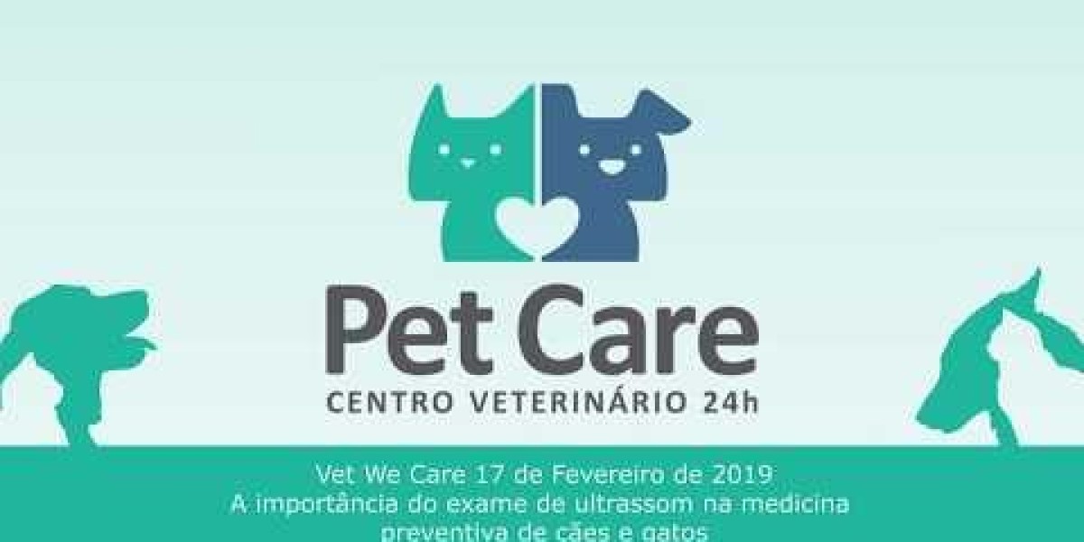 Hipertensão em Gatos: Cuidados Essenciais para o Bem-Estar do Seu Felino