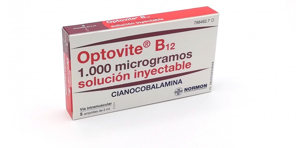 Qué es la ruda y para qué sirve: las propiedades de esta planta medicinal, sus contraindicaciones y cómo prepararla